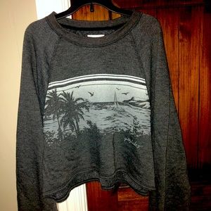 Gilly hicks cropped sweatshirt